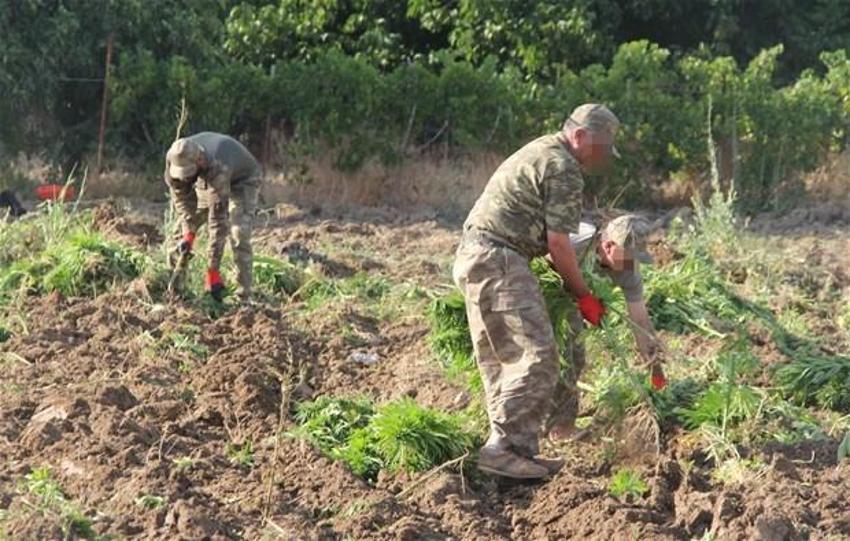 Lice'de terörün finans kaynağı uyuşturucuya büyük darbe