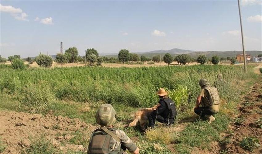 Lice'de terörün finans kaynağı uyuşturucuya büyük darbe