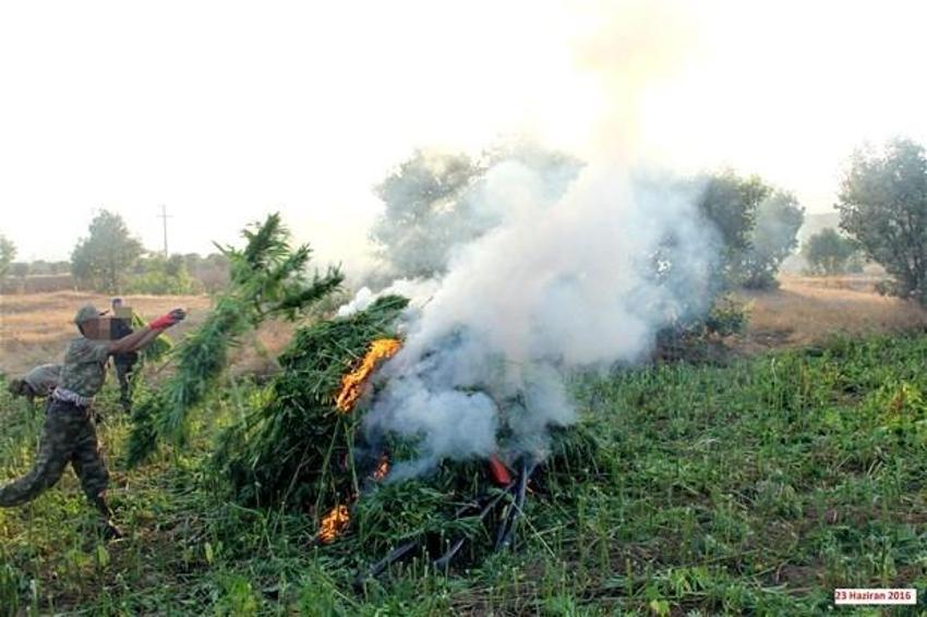 Lice'de terörün finans kaynağı uyuşturucuya büyük darbe