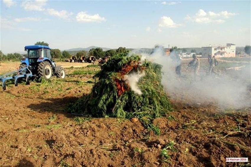 Lice'de terörün finans kaynağı uyuşturucuya büyük darbe