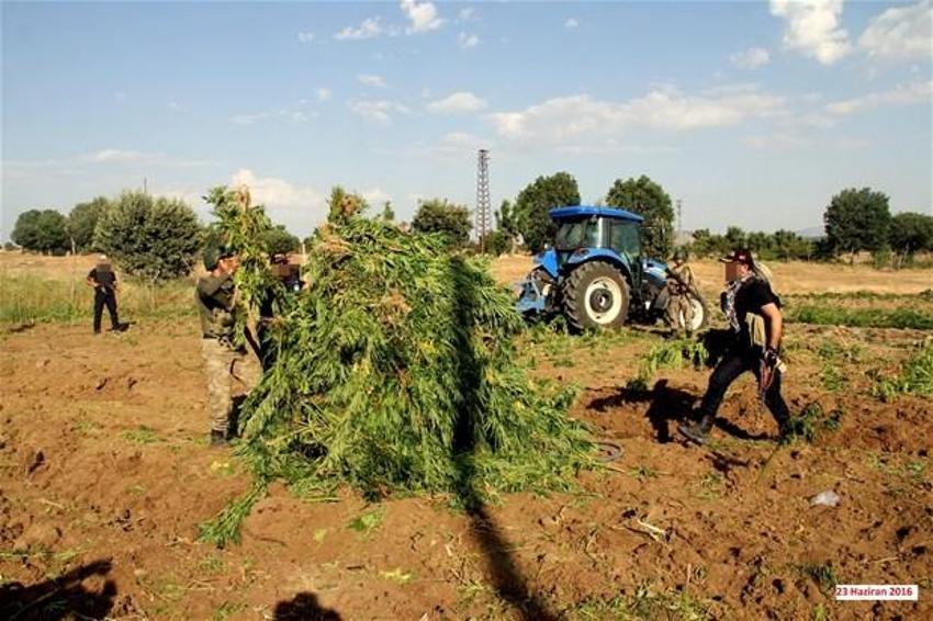 Lice'de terörün finans kaynağı uyuşturucuya büyük darbe