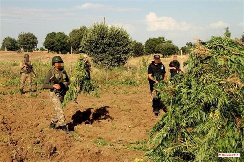 Lice'de terörün finans kaynağı uyuşturucuya büyük darbe