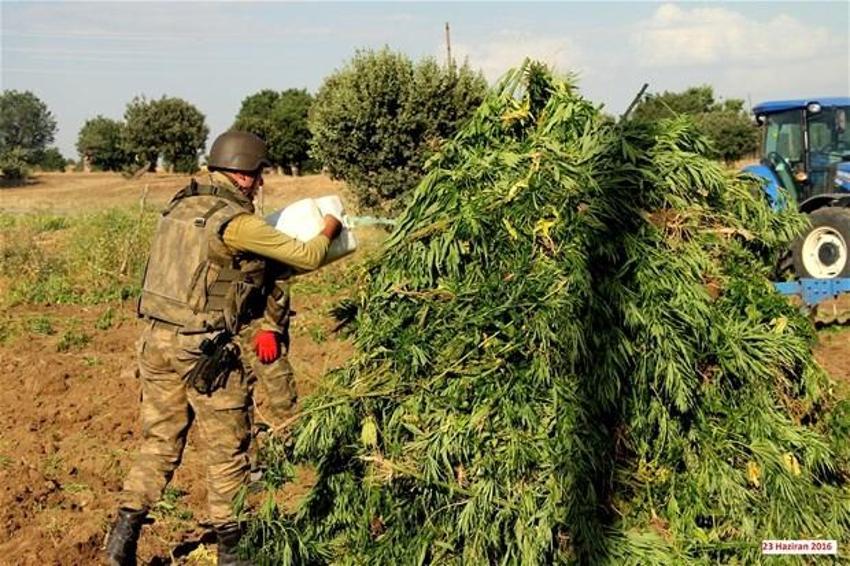 Lice'de terörün finans kaynağı uyuşturucuya büyük darbe