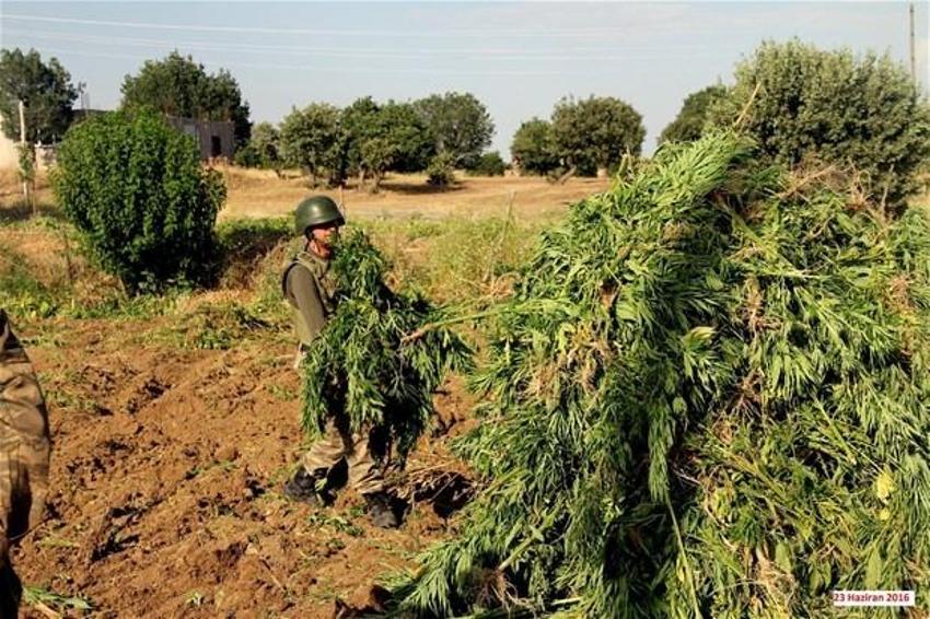 Lice'de terörün finans kaynağı uyuşturucuya büyük darbe