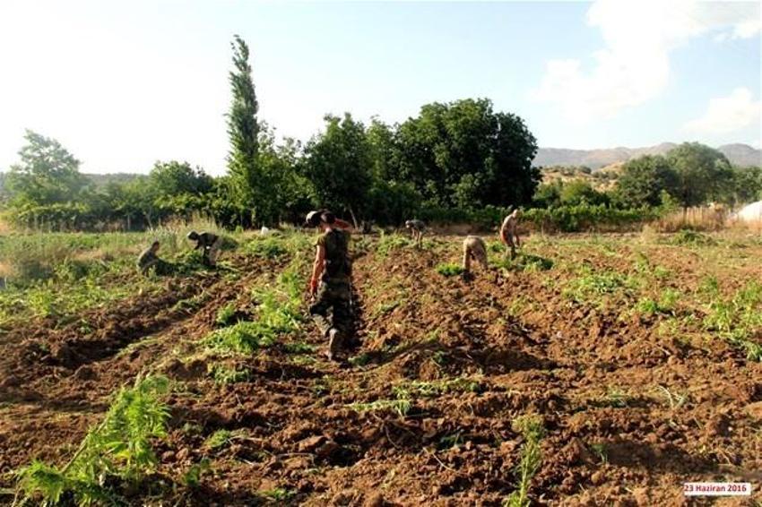 Lice'de terörün finans kaynağı uyuşturucuya büyük darbe