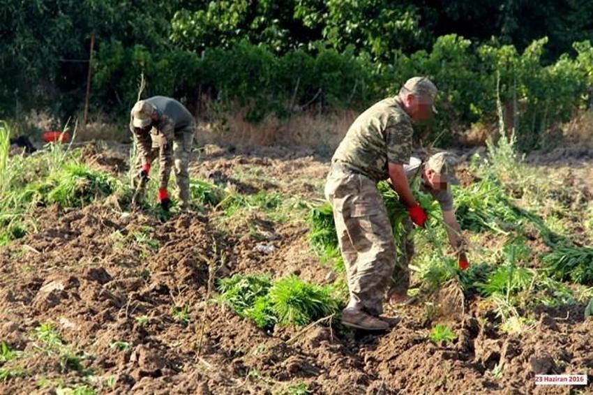 Lice'de terörün finans kaynağı uyuşturucuya büyük darbe