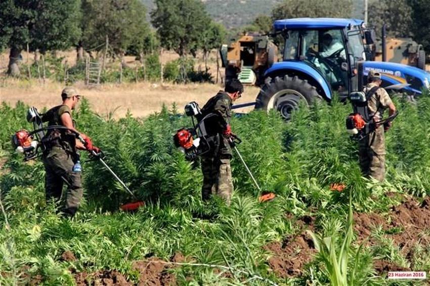 Lice'de terörün finans kaynağı uyuşturucuya büyük darbe
