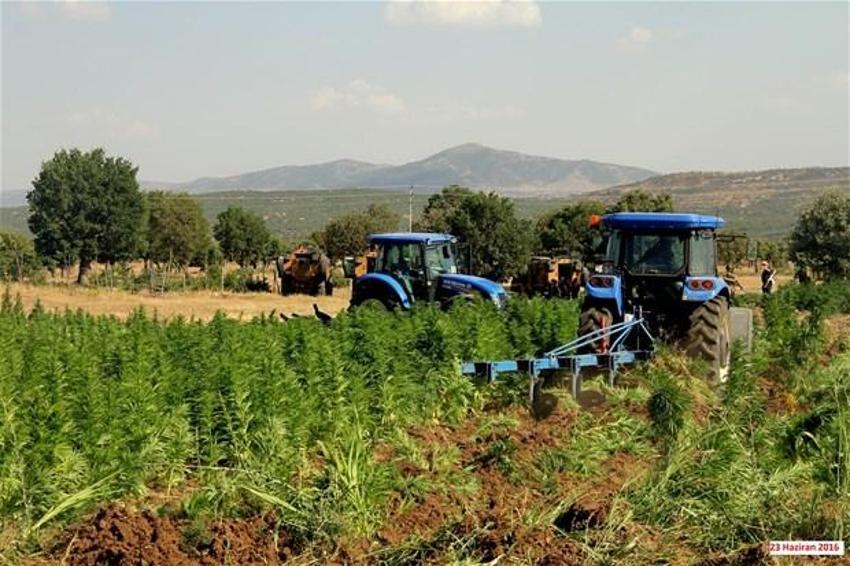 Lice'de terörün finans kaynağı uyuşturucuya büyük darbe