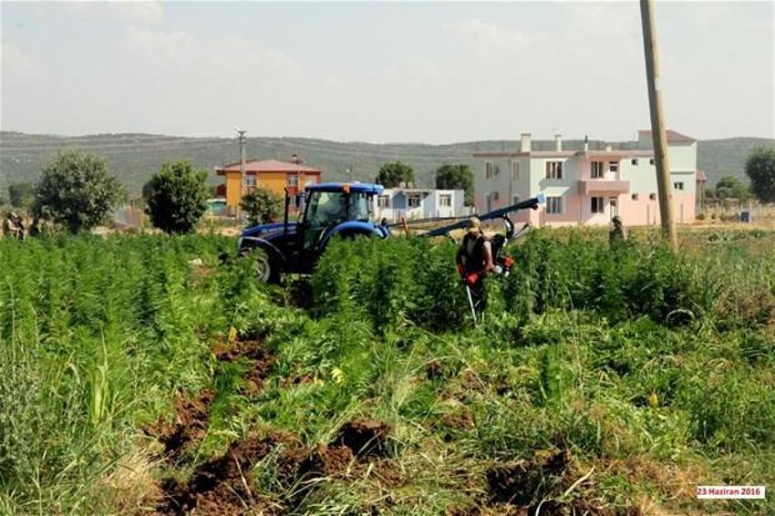 Lice'de terörün finans kaynağı uyuşturucuya büyük darbe