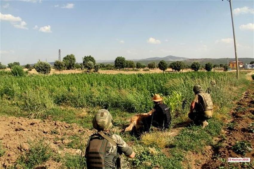 Lice'de terörün finans kaynağı uyuşturucuya büyük darbe