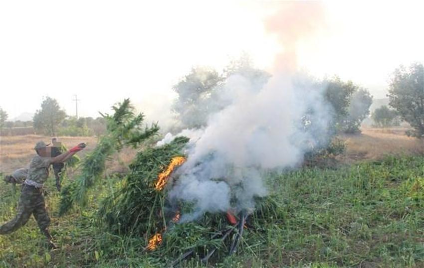 Lice'de terörün finans kaynağı uyuşturucuya büyük darbe