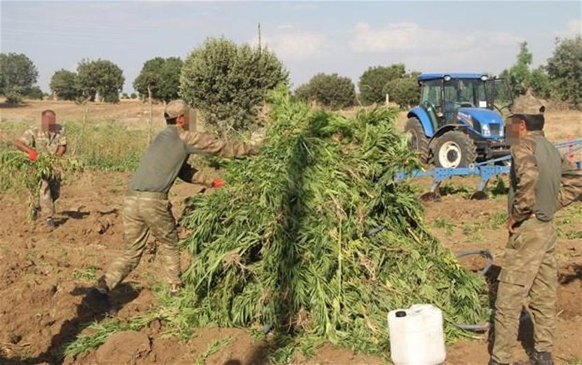 Lice'de terörün finans kaynağı uyuşturucuya büyük darbe