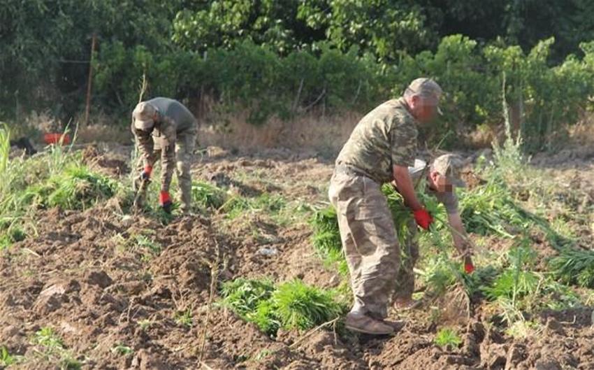 Lice'de terörün finans kaynağı uyuşturucuya büyük darbe