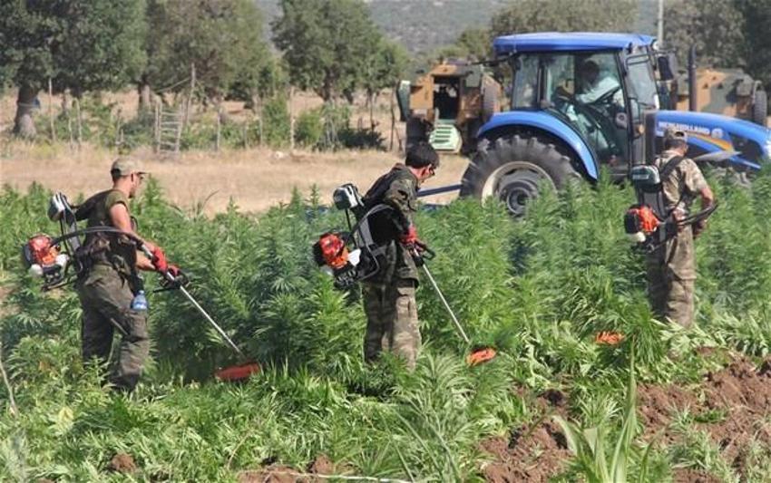 Lice'de terörün finans kaynağı uyuşturucuya büyük darbe