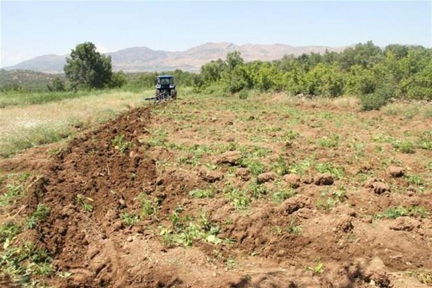 Lice'de terörün finans kaynağı uyuşturucuya büyük darbe
