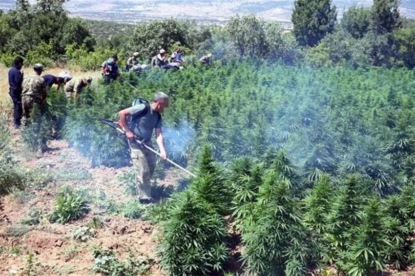 Lice'de terörün finans kaynağı uyuşturucuya büyük darbe