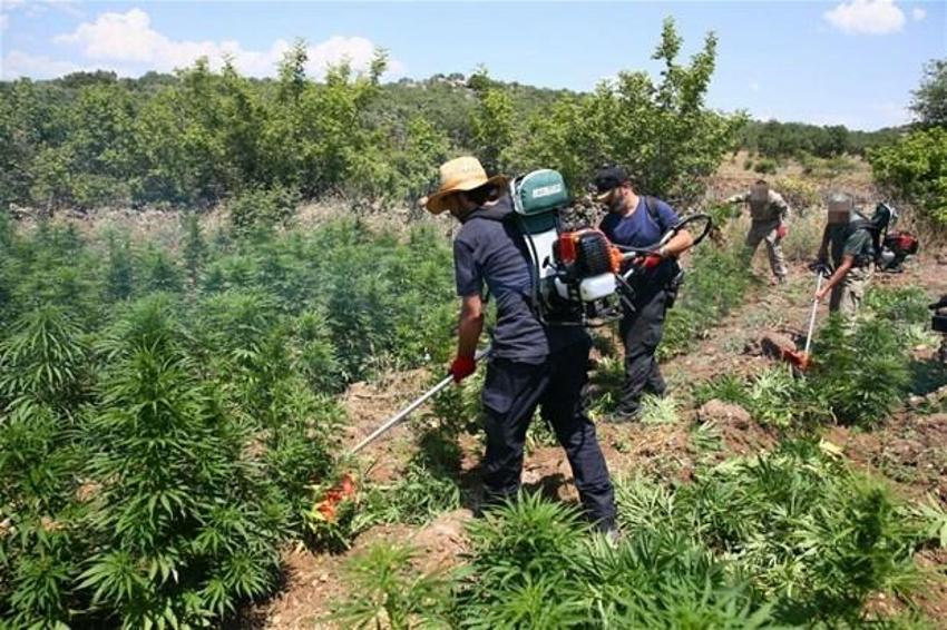 Lice'de terörün finans kaynağı uyuşturucuya büyük darbe