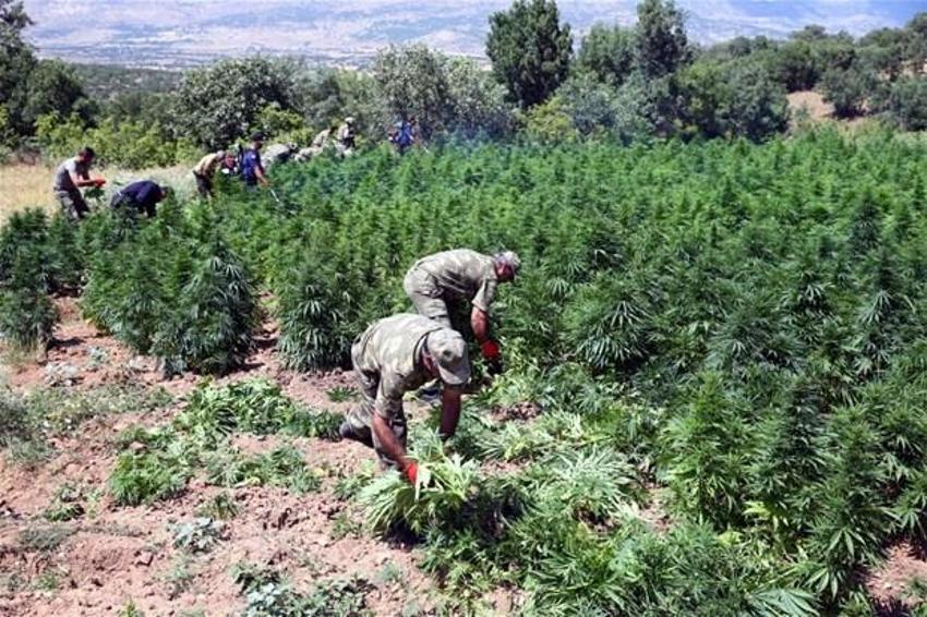 Lice'de terörün finans kaynağı uyuşturucuya büyük darbe