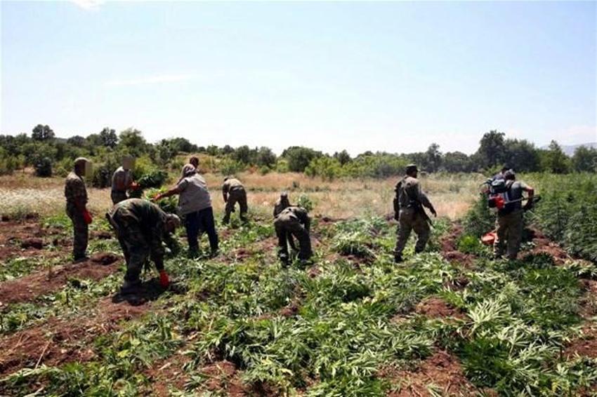 Lice'de terörün finans kaynağı uyuşturucuya büyük darbe