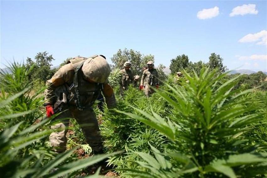Lice'de terörün finans kaynağı uyuşturucuya büyük darbe
