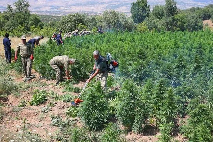 Lice'de terörün finans kaynağı uyuşturucuya büyük darbe