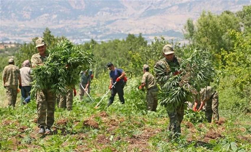 Lice'de terörün finans kaynağı uyuşturucuya büyük darbe