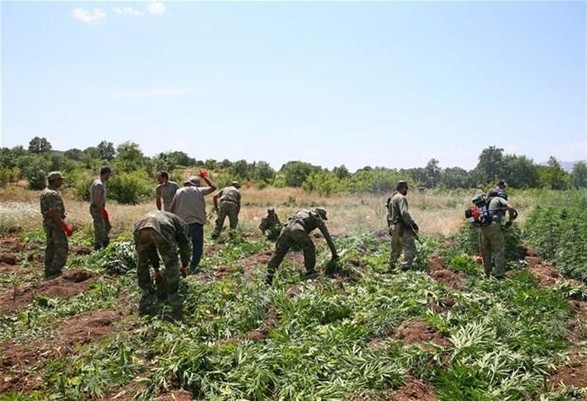 Lice'de terörün finans kaynağı uyuşturucuya büyük darbe