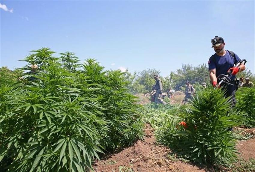 Lice'de terörün finans kaynağı uyuşturucuya büyük darbe