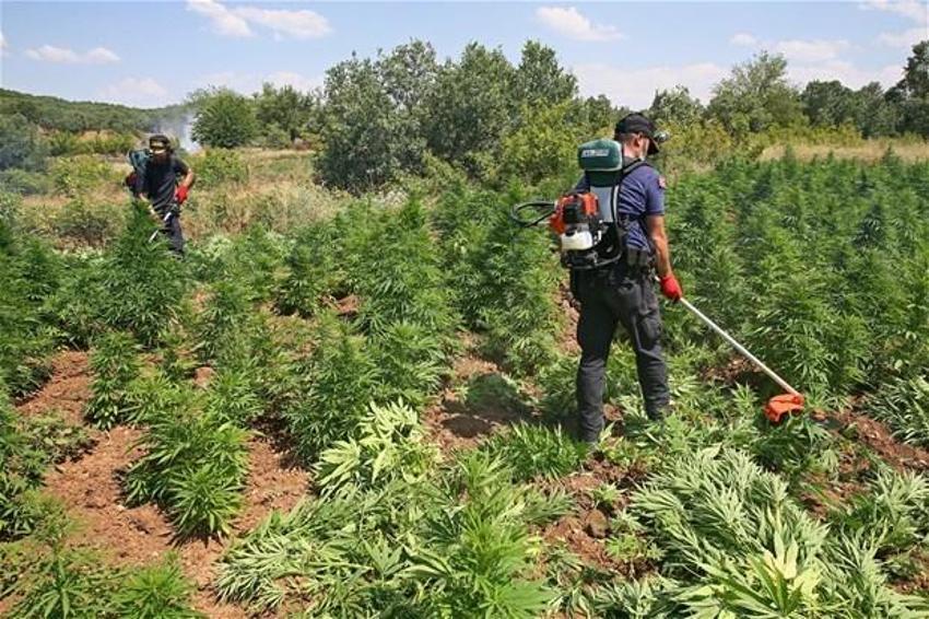 Lice'de terörün finans kaynağı uyuşturucuya büyük darbe