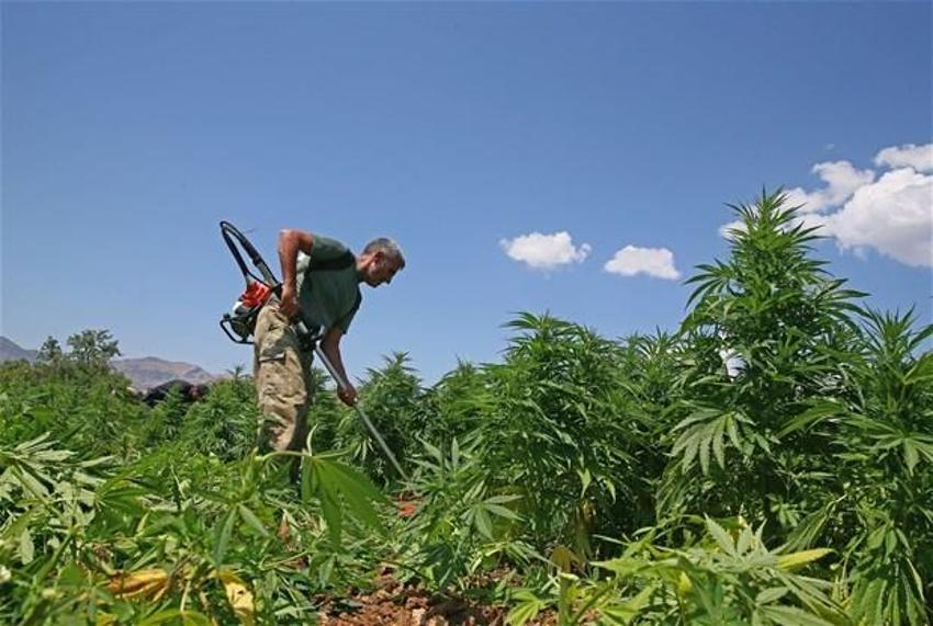 Lice'de terörün finans kaynağı uyuşturucuya büyük darbe