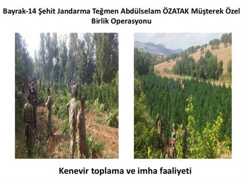 Lice'de terörün finans kaynağı uyuşturucuya büyük darbe