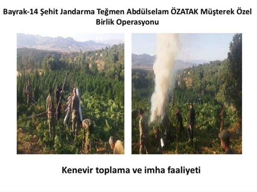 Lice'de terörün finans kaynağı uyuşturucuya büyük darbe