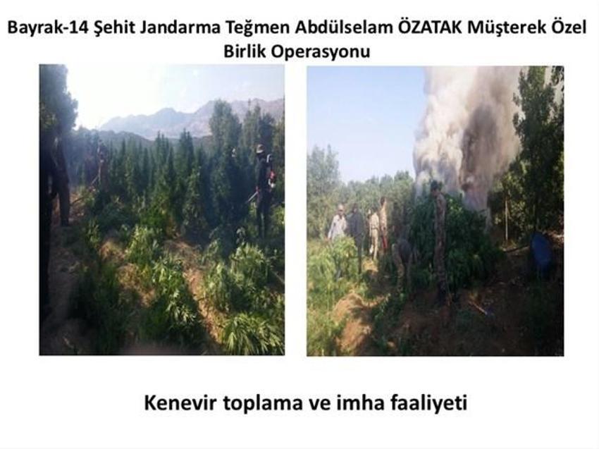 Lice'de terörün finans kaynağı uyuşturucuya büyük darbe