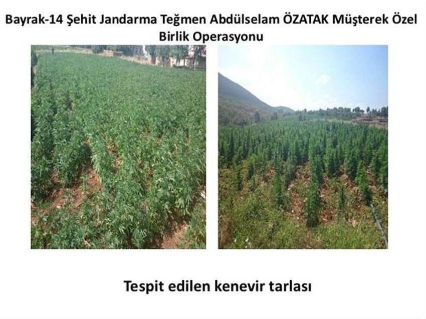Lice'de terörün finans kaynağı uyuşturucuya büyük darbe