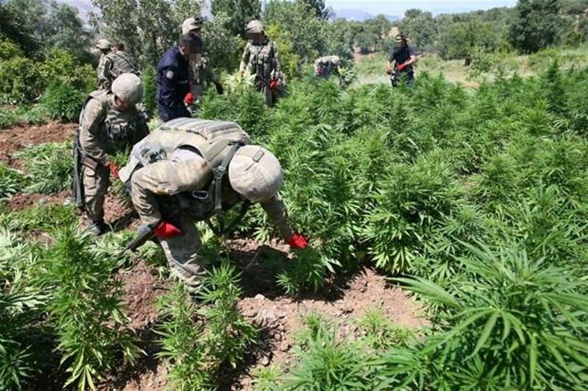 Lice'de terörün finans kaynağı uyuşturucuya büyük darbe