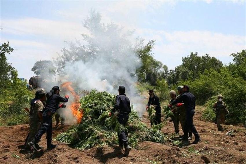 Lice'de terörün finans kaynağı uyuşturucuya büyük darbe