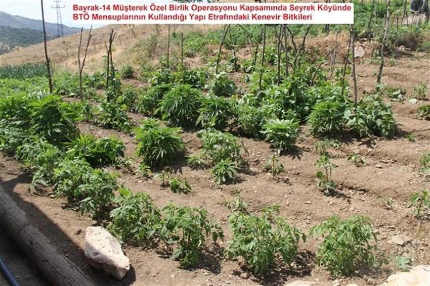 Lice'de terörün finans kaynağı uyuşturucuya büyük darbe