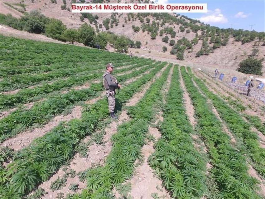 Lice'de terörün finans kaynağı uyuşturucuya büyük darbe