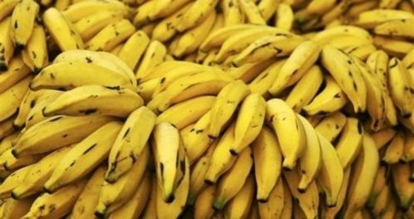 Mutlak yemeniz gereken süper besinler