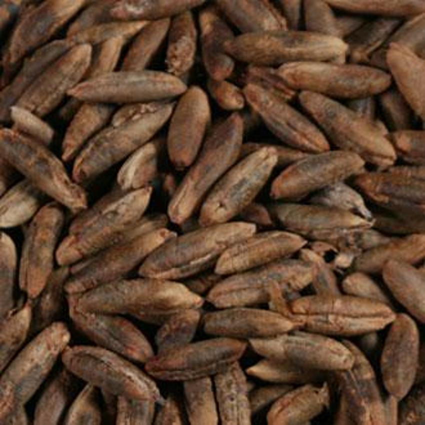 Hurmanın Faydaları