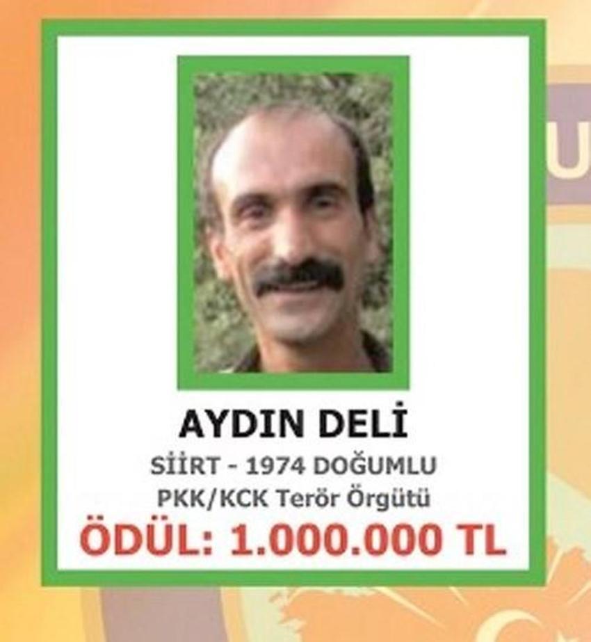 PKK'lıların fotoğrafları billboardlara asıldı