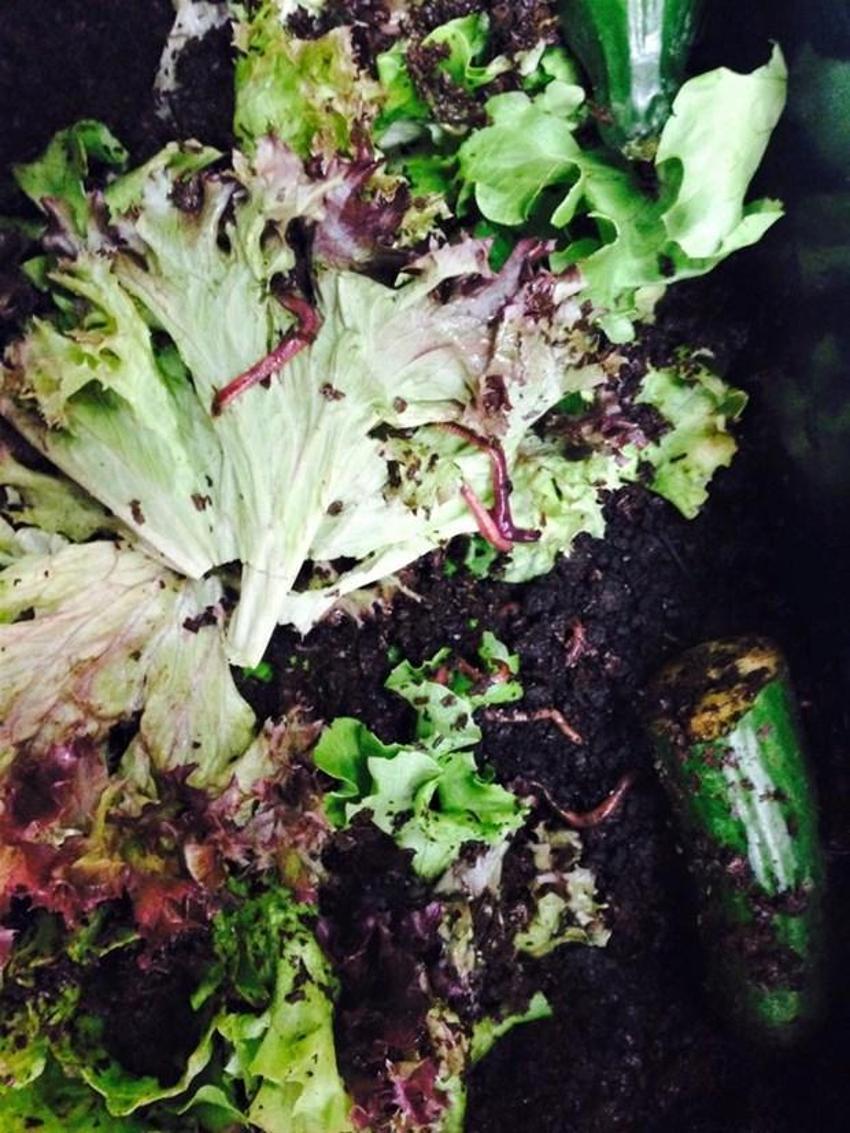 Papermoon’un çöpleri Akmerkez’in tarlasını besledi