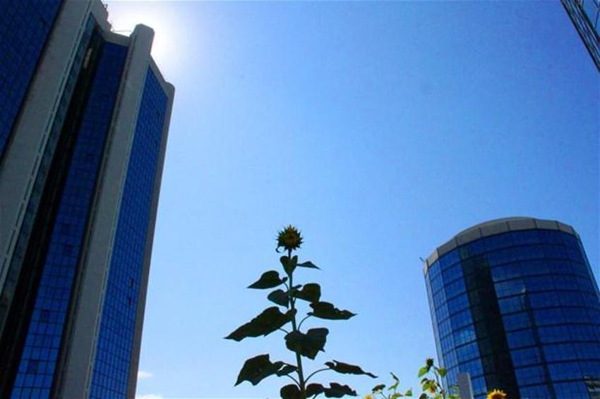 Papermoon’un çöpleri Akmerkez’in tarlasını besledi