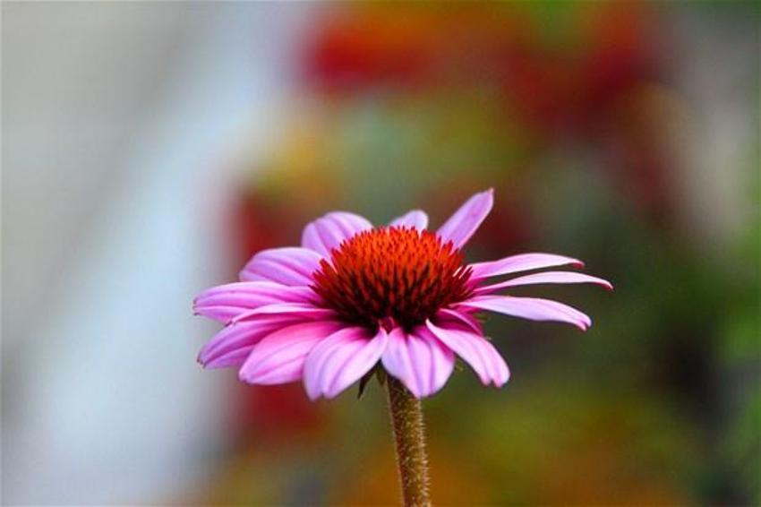 Papermoon’un çöpleri Akmerkez’in tarlasını besledi