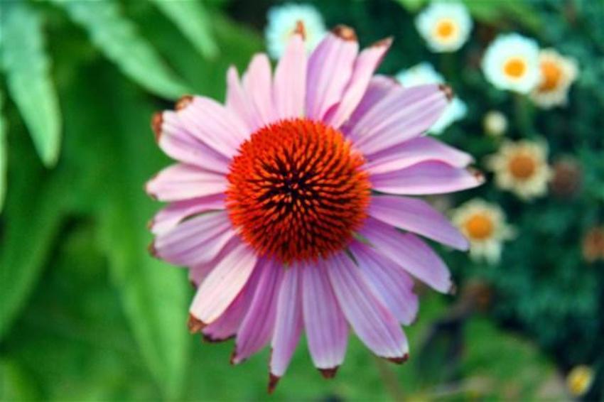 Papermoon’un çöpleri Akmerkez’in tarlasını besledi