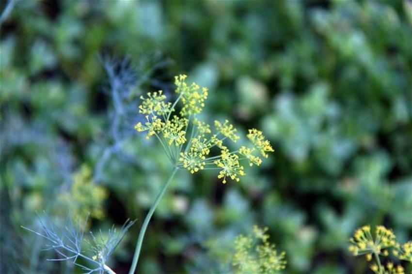Papermoon’un çöpleri Akmerkez’in tarlasını besledi