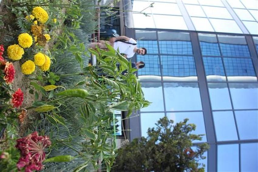 Papermoon’un çöpleri Akmerkez’in tarlasını besledi