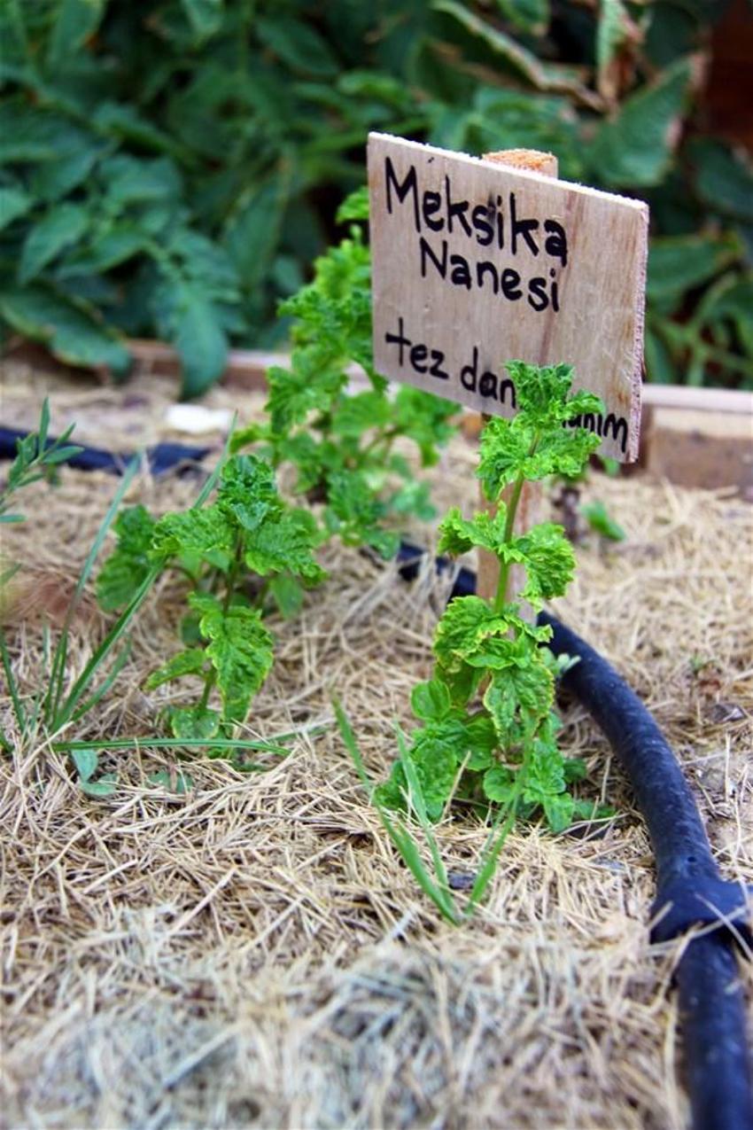 Papermoon’un çöpleri Akmerkez’in tarlasını besledi