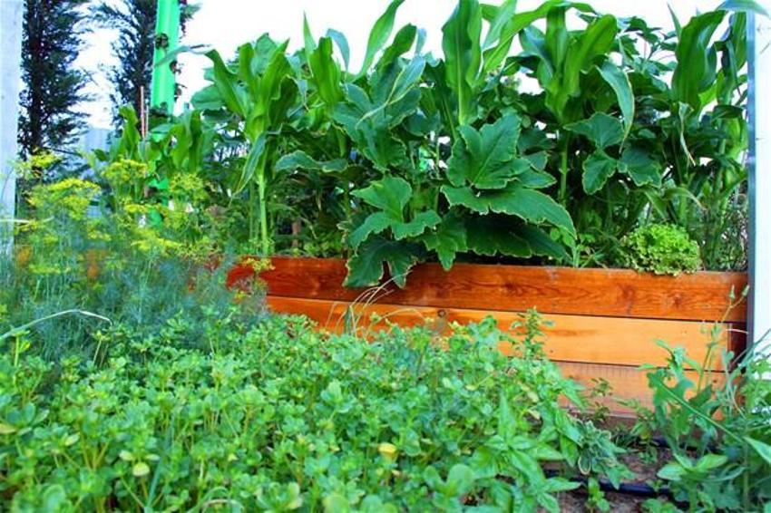 Papermoon’un çöpleri Akmerkez’in tarlasını besledi