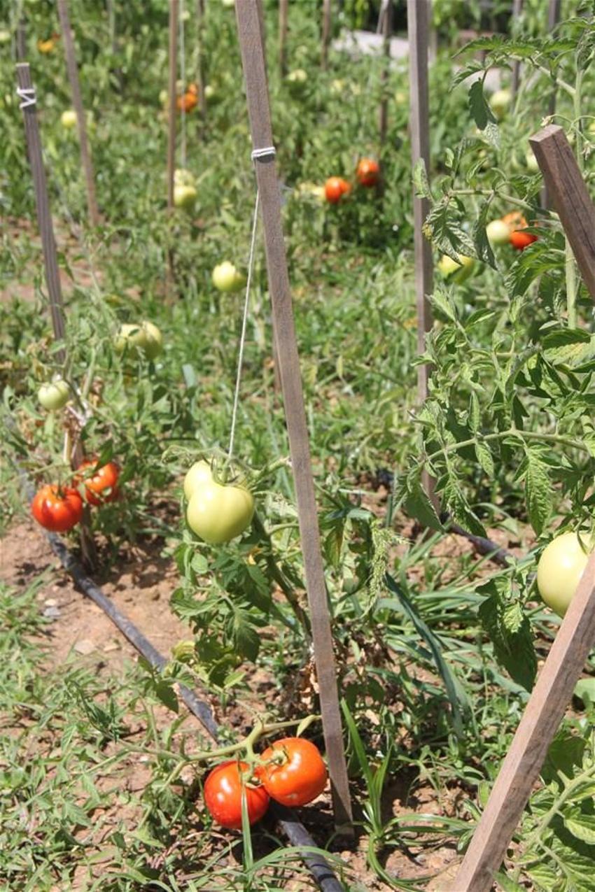 Papermoon’un çöpleri Akmerkez’in tarlasını besledi